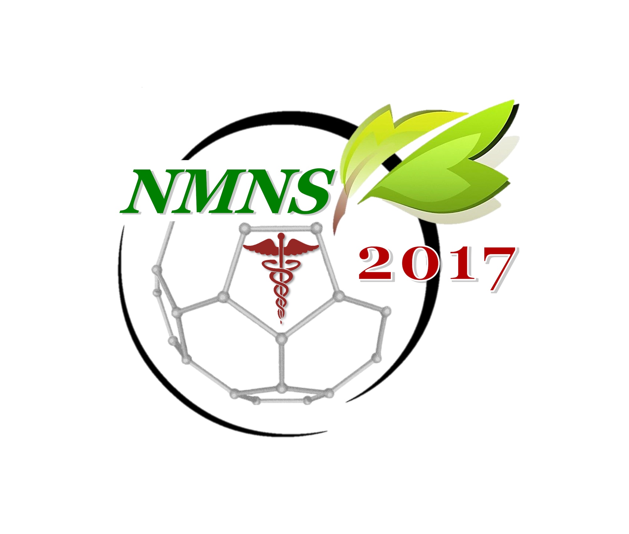 2nd International Nanomedicine and Nanotechnology Conference (NMNS2017)
