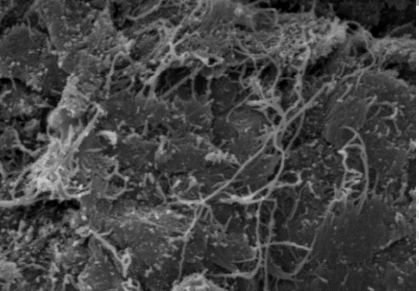 Synthesizing Short Kenaf Fiber-Based Biocomposites Reinforced with Multi-Walled Carbon Nanotubes