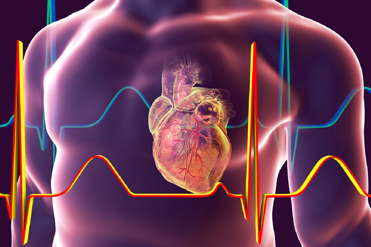 Development of a Heart Attack Diagnosis Device Prototype