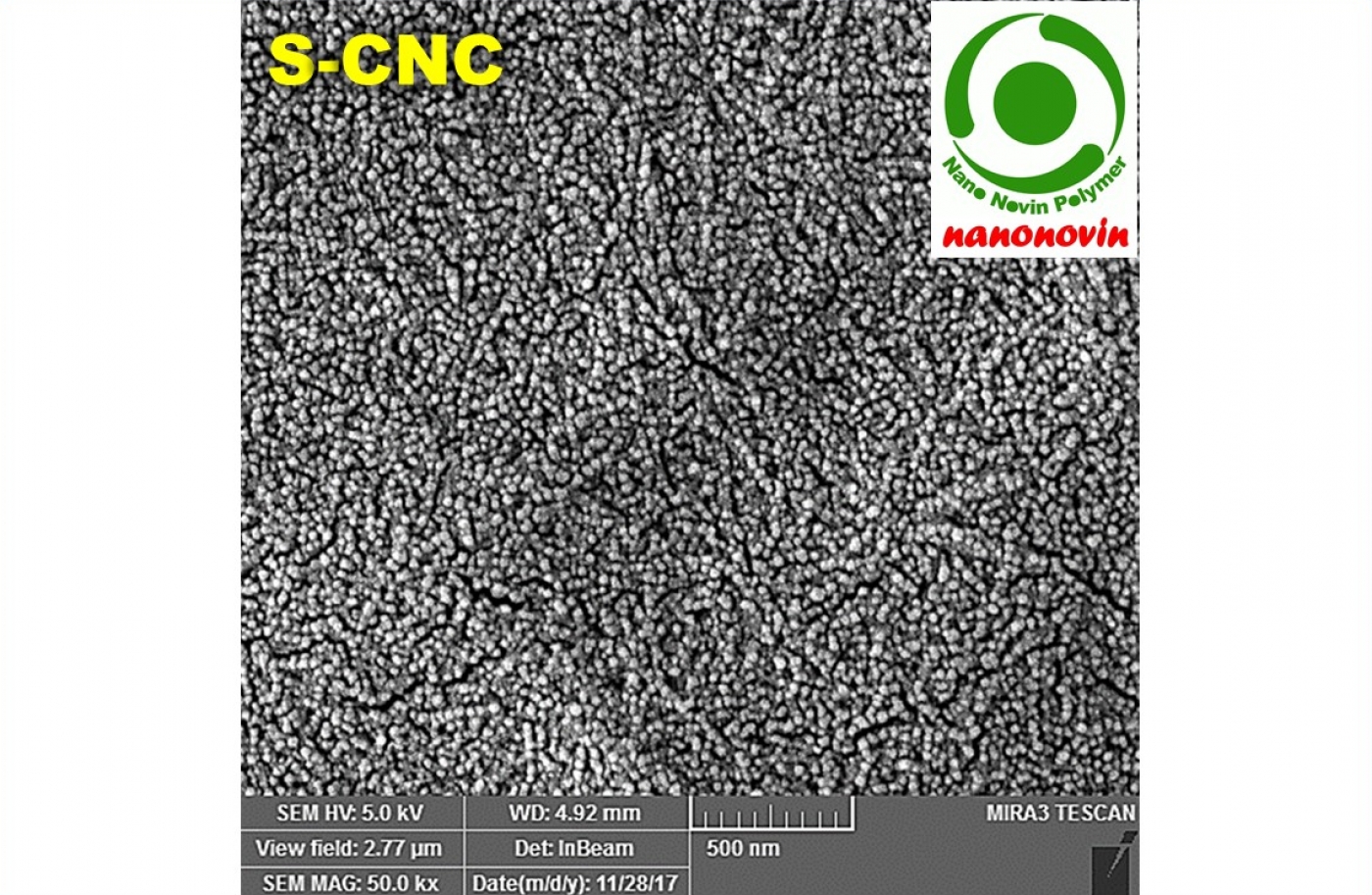 Cellulose Nanocrystal Gel