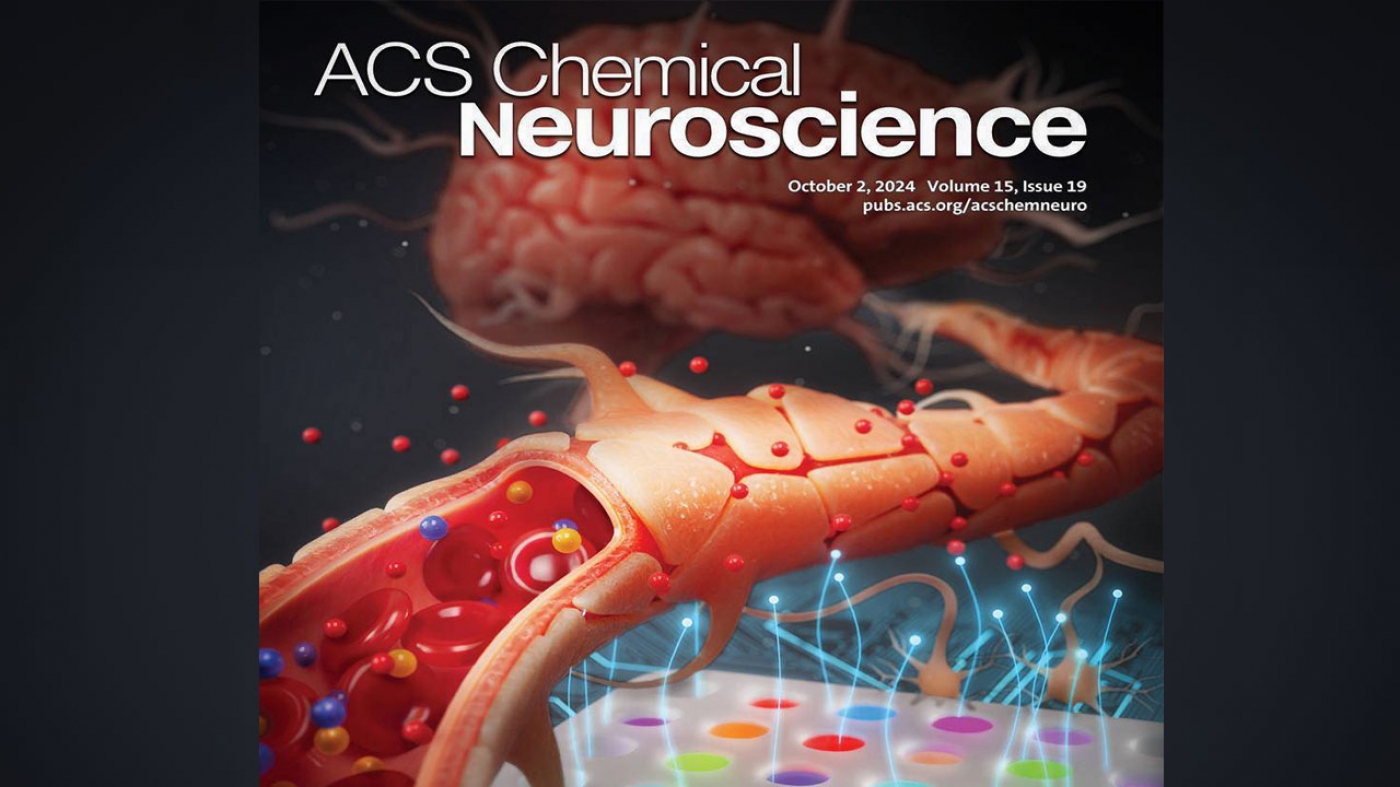 Cover Feature of ACS Chemical Neuroscience Highlights Research by Sharif University Professor in Neuroscience