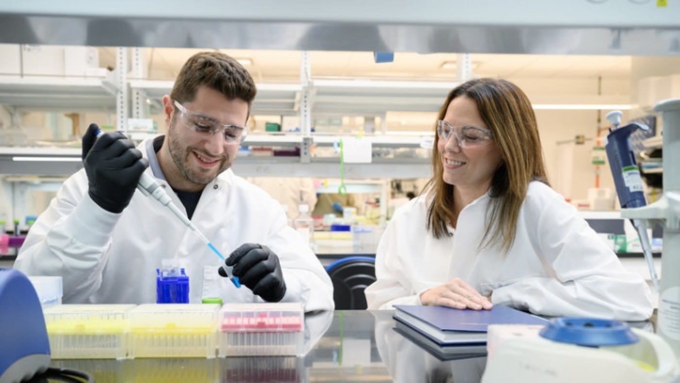 Making Nanomedicines More Precise