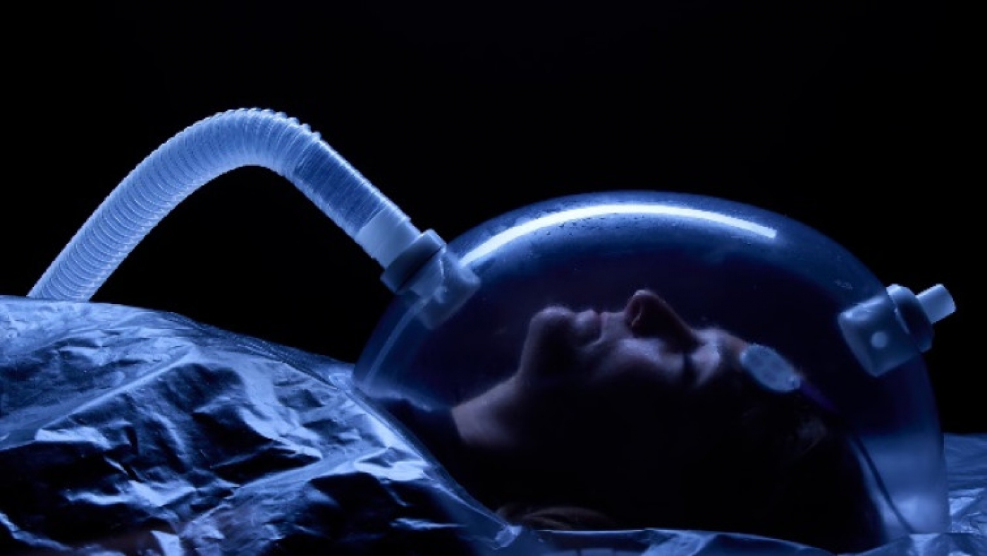 Scientists Develop Nanocomposite-modified MEAs for Monitoring Neuronal Activity During Hibernation